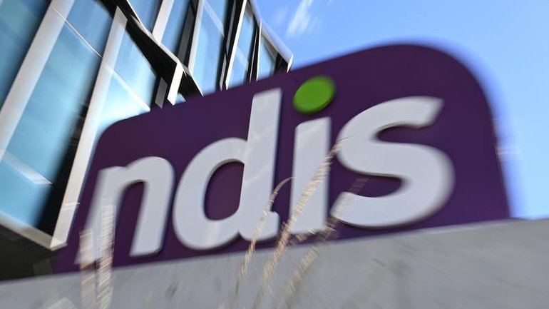 Providers, advocates and government agencies will give evidence on the final day of an NDIS inquiry. 