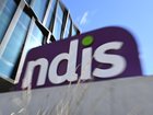 Providers, advocates and government agencies will give evidence on the final day of an NDIS inquiry. 
