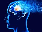 Midlife could be your brain’s last line of defence, with mounting evidence showing the habits you build in your 30s to 60s may dramatically shape your risk of dementia decades later.