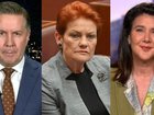 One Nation has called in an auditor to verify its multi-million dollar fundraising campaign.