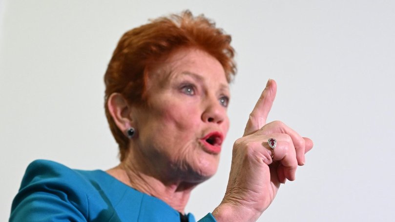 Pauline Hanson said money raised in the anti-Anthony Albanese campaign was ‘ridgy didge’.