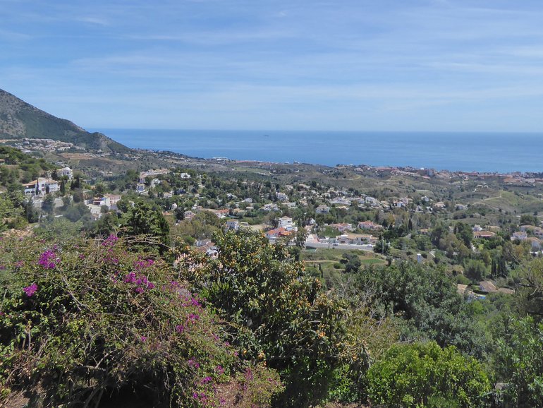 The siblings were found in a hotel room in the Costa del Sol resort town of Benalmadena after staff found two of the children unattended in the property’s common areas and alerted police.
