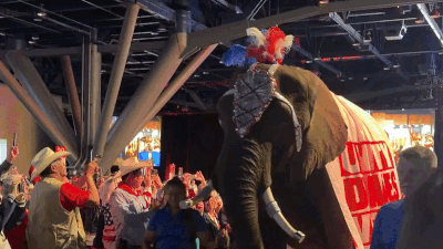 An elephant has peed on the floor while being paraded through a Republican rally in Texas.