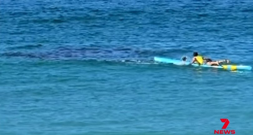Hero surf lifesaver Charlie Verco paddled into the bloodied water.