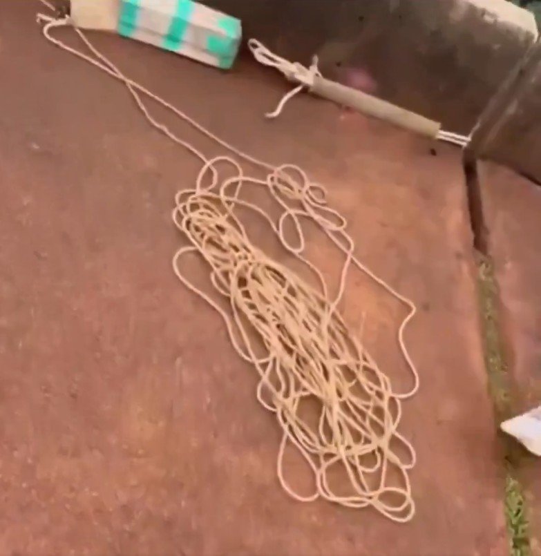 A rope can be seen coiled on t he ground..