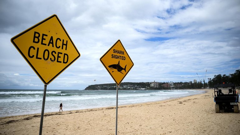 Data shows Australia has the second-highest number of recorded shark incidents in the world. (Bianca De Marchi/AAP PHOTOS)