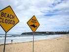 Data shows Australia has the second-highest number of recorded shark incidents in the world. (Bianca De Marchi/AAP PHOTOS)