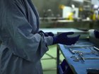 A Polish pathologist has been arrested after more than 30 fetuses were allegedly found buried at her former property.