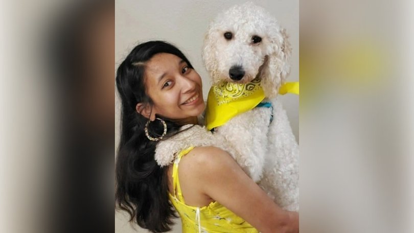 A tale of survival has turned to tragedy after Morabia Siddhi Suresh escaped a car crash unscathed but was later fatally struck by a vehicle while trying to save her dog from oncoming traffic.