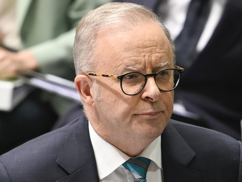 One Nation has targeted Anthony Albanese in its Fire the Liar campaign.