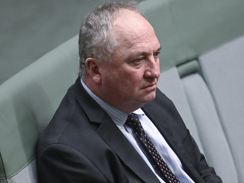 Barnaby Joyce abandoned a 20-year career with the Nationals to join One Nation in November.
