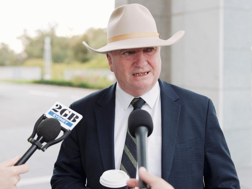 Barnaby Joyce will helm One Nation’s economic policy as treasury spokesman. 