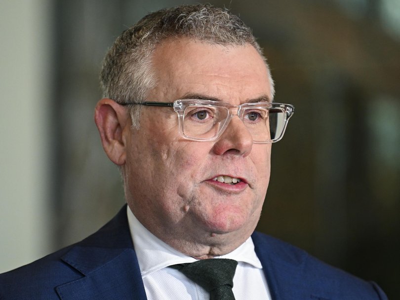 Environment Minister Murray Watt has downplayed concerns around One Nation’s anti-Labor campaign. 