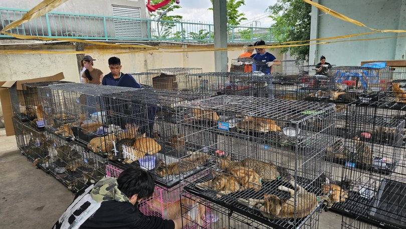 Volunteers from an animal rights group are providing food and other supplies to the rescued pets while police continue the investigation.