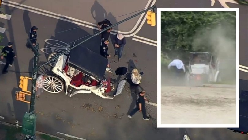 A young tourist has died after he was thrown from a runaway horse-drawn carriage in New York City’s Central Park.