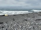 H5 bird flu has taken a huge toll on Heard Island's wildlife, including elephant seal pups. 
