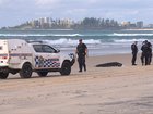 Police are investigating after a woman’s body was found at Crystal Beach, Tugun, on the Gold Coast.
