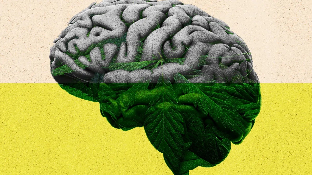 THE WASHINGTON POST: Seven unexpected takeaways from the newest research on cannabis and brain effects