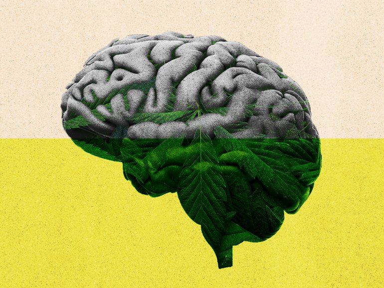 Research has shed new light on how cannabis can affect the human brain.