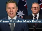 There are rumours Anthony Albanese could be rolled by Health Minister Mark Butler.