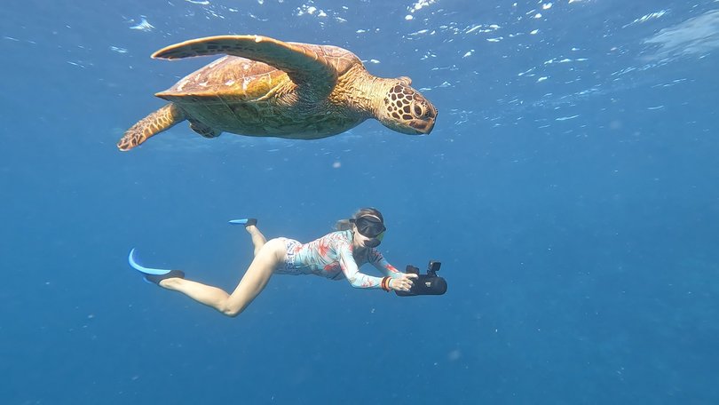 Swimming alongside sea turtles.