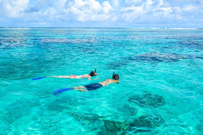 Swimming through crystal-clear waters.