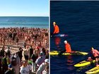 Leah Stewart has been honoured in touching scenes at Coogee Beach.