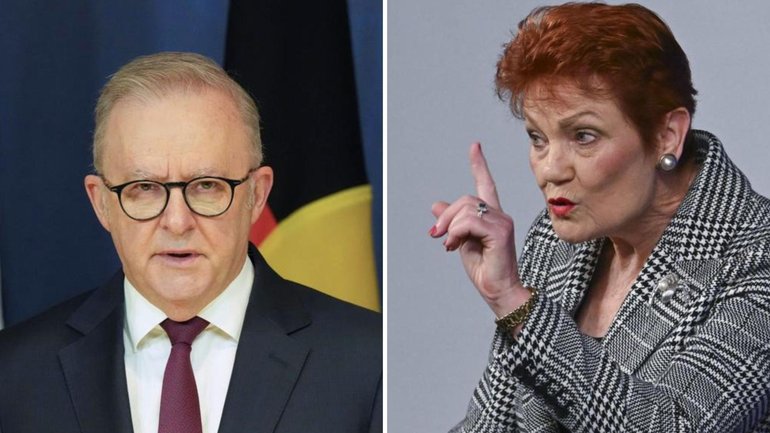 Anthony Albanese has criticised One Nation’s purported support for working class Australians.