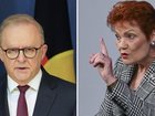 Anthony Albanese has criticised One Nation’s purported support for working class Australians.