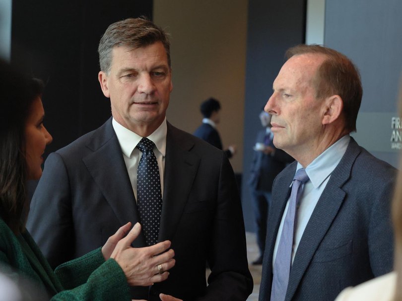 Liberal Party leaders are trying to stop the bleed to One Nation. 