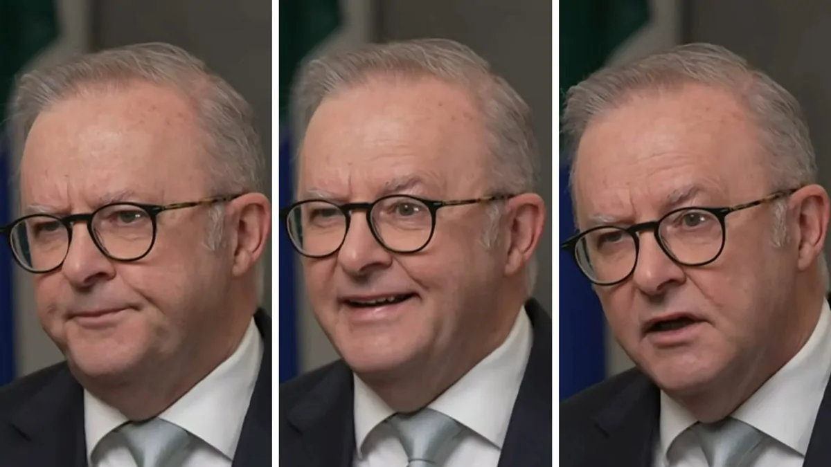 Anthony Albanese slams ‘nonsense’ capital gains tax lie claims, blames critics ‘self-interest’ Anthony Albanese slams ‘nonsense’ capital gains tax lie claims, blames critics ‘self-interest’