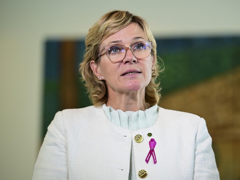 Zali Steggall said campaigners had a right to call the prime minister a liar or make other claims as long as they could back them up with evidence.