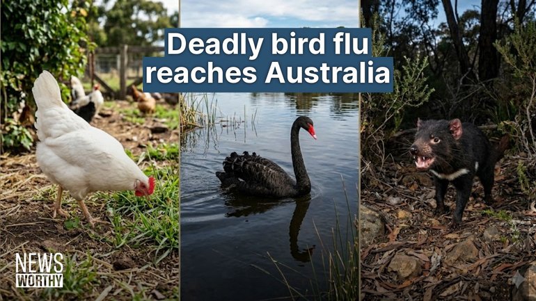 In today’s episode, Ben O’Shea reveals why a second H5N1 bird flu case in WA has an expert fearing a wildlife ‘apocalypse’. 