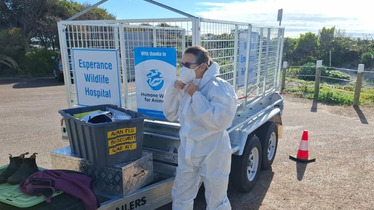 Wildlife carers are continuing to look for sick birds as fears of a wider bird flu outbreak grow.