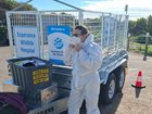 Wildlife carers are continuing to look for sick birds as fears of a wider bird flu outbreak grow.