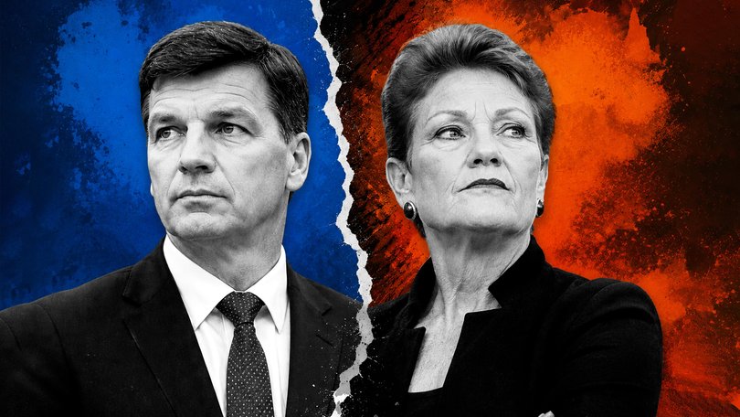 Angus Taylor is going to have to respond to Pauline Hanson.