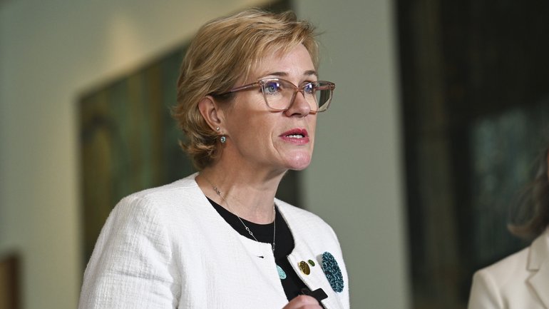 Two Teal MPs have revealed they will form a new political party named Community Strong Australia.