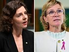 Two Teal MPs have revealed they will form a new political party named Community Strong Australia.