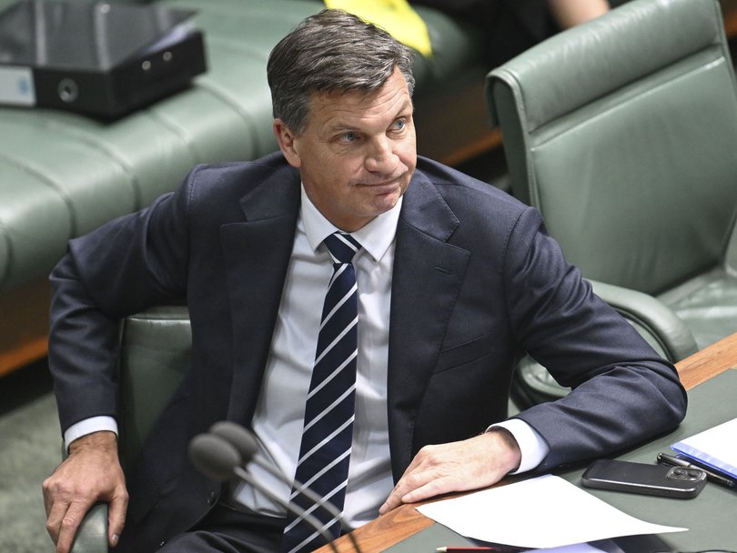 Opposition leader Angus Taylor.