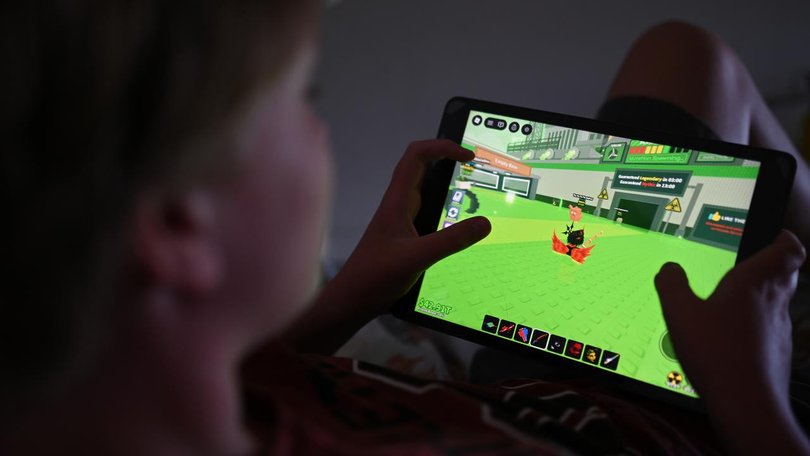Critics say Australia's social media age restrictions can be circumvented with relative ease. 