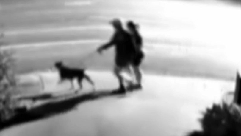 A married couple has been left with wounds, lacerations and a puncture following a vicious dog attack on Thursday evening.
