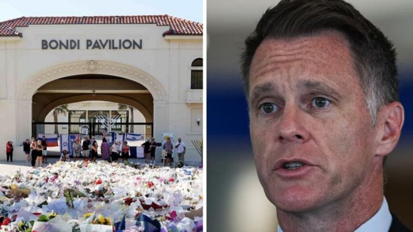 NSW Premier Chris Minns says the state faces a “grim” new reality in the wake of the Bondi terror attack, after a stark warning from Australia’s spy chief.