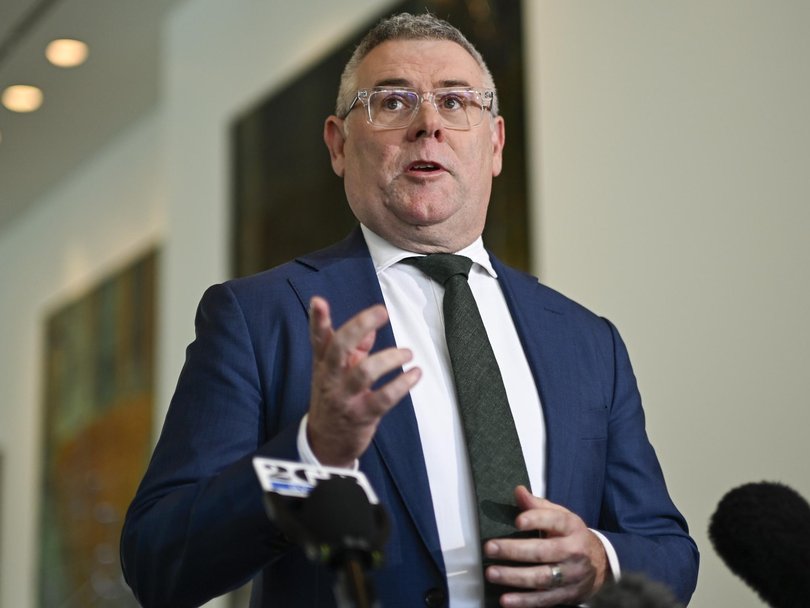 Environment Minister Murray Watt says Australia has had plenty of time to prepare. Picture: NewsWire / Martin Ollman