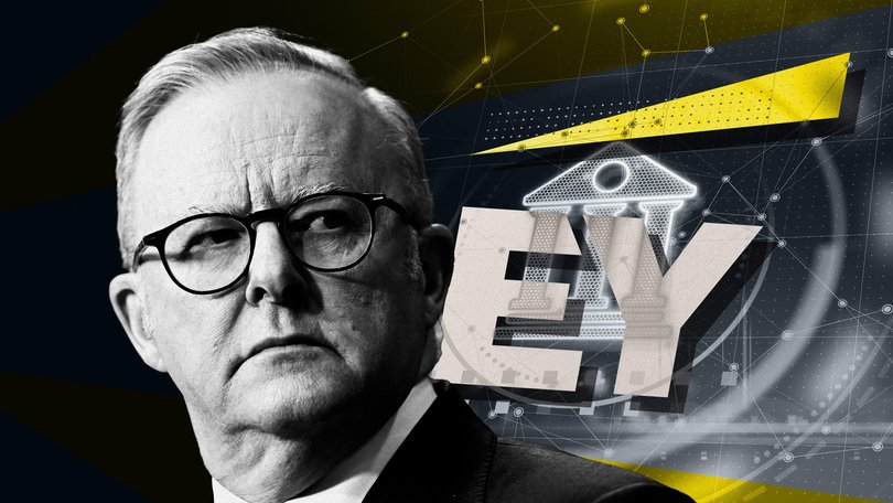 Anthony Albanese, Ernst & Young The Nightly