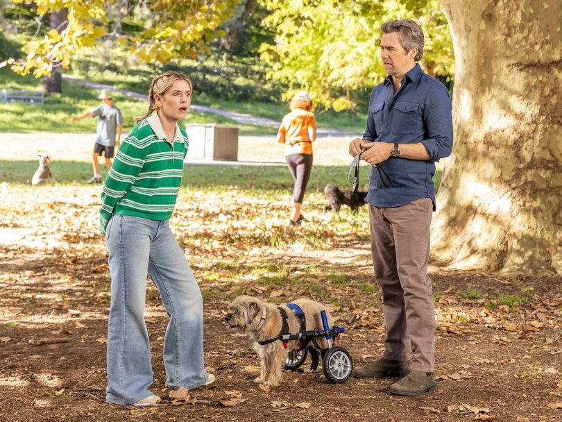 Harriet Dyer and Patrick Brammall write and star in the series.