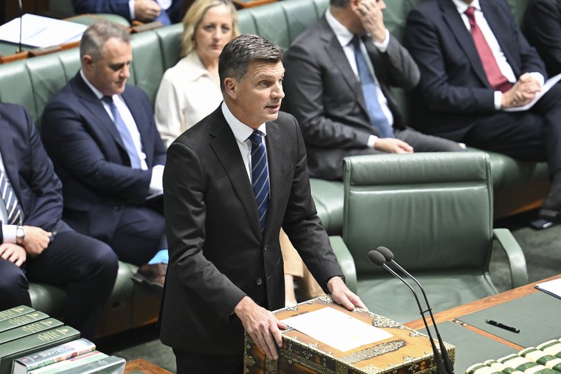 Opposition Leader Angus Taylor during Question Time.