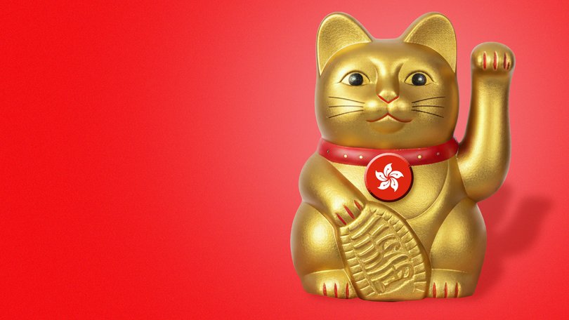Hong Kong is finding a path back from the afterlife, with pensive cats to guide the way.