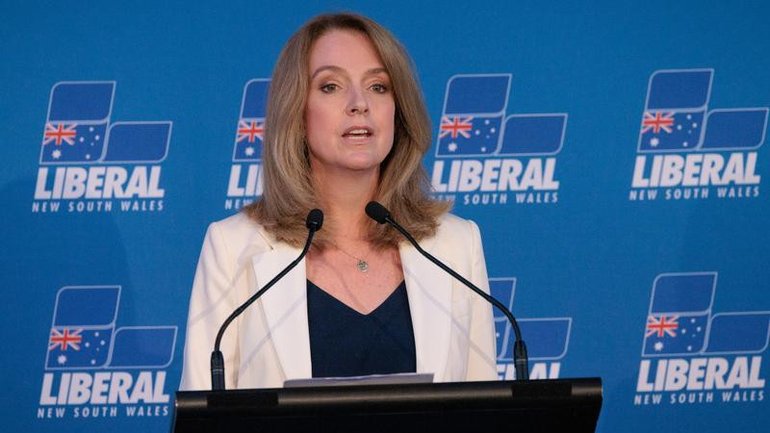Liberal Leader Kellie Sloane admits a probe involving branch members is damaging to the party. 