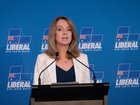 Liberal Leader Kellie Sloane admits a probe involving branch members is damaging to the party. 