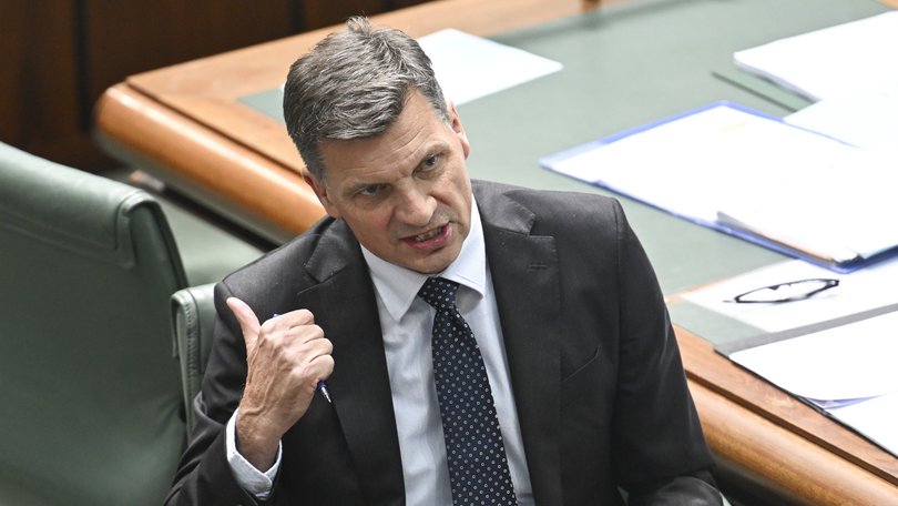 Leader of the Opposition Angus Taylor.